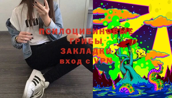 трава Балахна