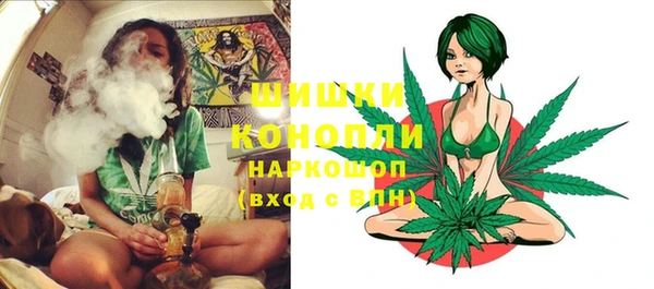 трава Балахна