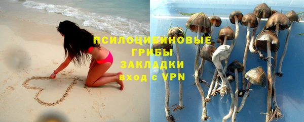 spice Балабаново