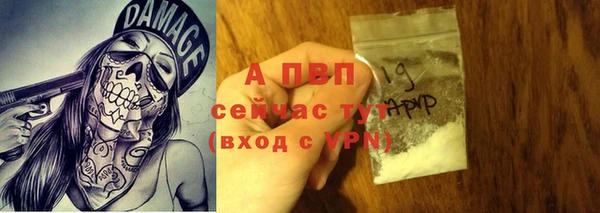 трава Балахна