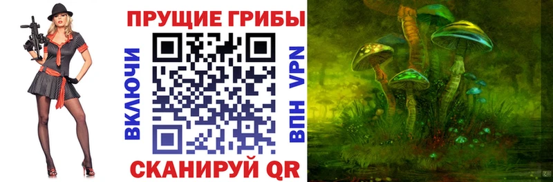 гидра зеркало  Новочеркасск  Галлюциногенные грибы GOLDEN TEACHER 
